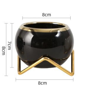 Elegant Flower pot (Black color)