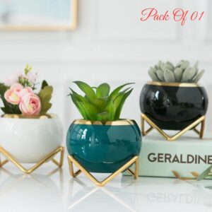 Elegant Flower pot (Green color)
