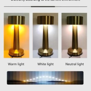Premium Metal Rechargeable Lamp