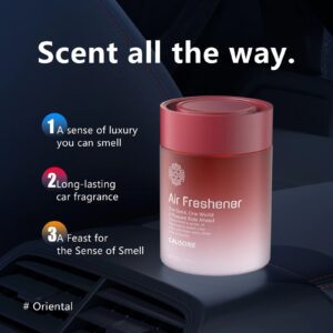 Causone Car Air Freshener – 200g